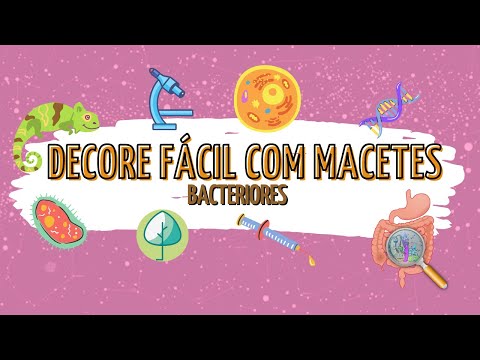 Macete de biologia - Bacterioses