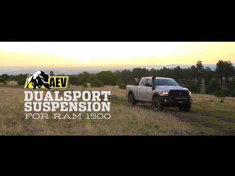 AEV 1500 DualSport
