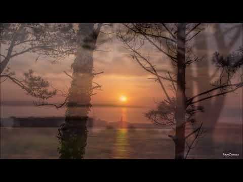 MORAIMA (Suso Vaamonde)