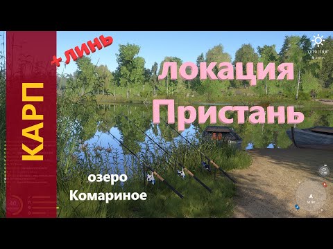 Русская рыбалка 4 - озеро Комариное - Карп у лодок