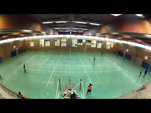 25.01.2015 1.Bundesliga Faustball TSV Schülp - TV Brettorf- Frauen