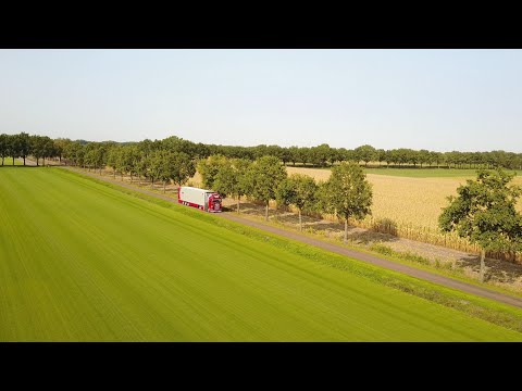 Internationaler Ferkelhandel - VAEX The Livestock Traders