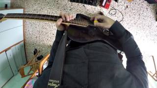 Muse - Big Freeze Guitar cover by Luca Nisi (Guitar replica)