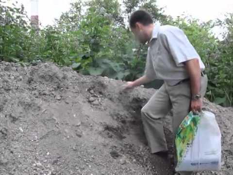 В курском парке лежат человеческие кости