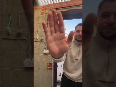 Vidéo