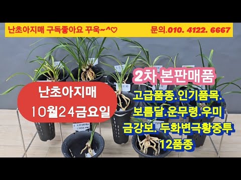 유튜브 썸네일