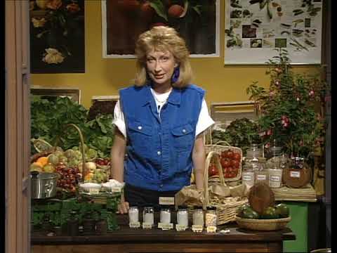 Hobbythek - Fit durch Früchte und Säfte mit Jean Pütz und Christine Niklas (WDR vom 08.09.1993)