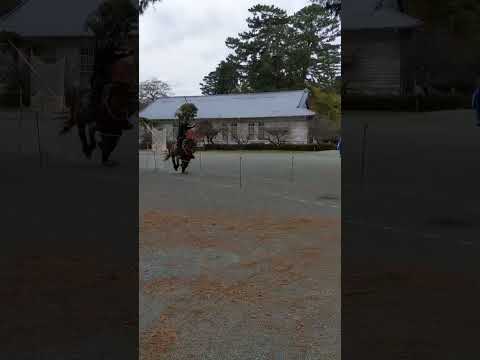 , title : 'ANCIENT TRADITION - Japanese Horseback Archery! 😯'