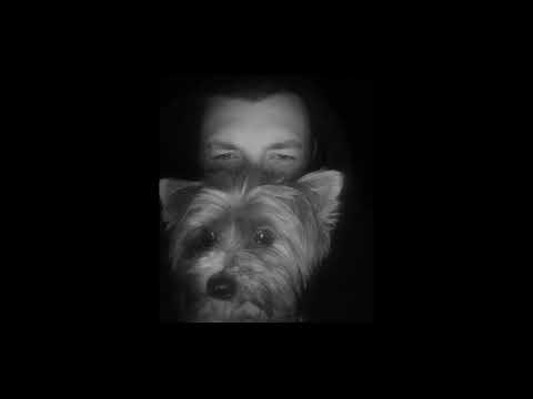 petaxe - chciałbym cofnąć dzień...