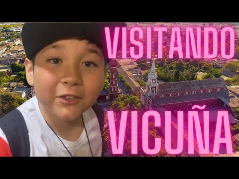 vicuña- lugar donde nacio gabriela mistral