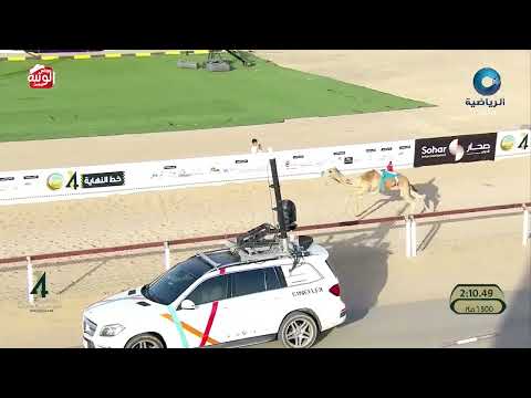 ش 10 (مستانس) لـ بخيت مسلم أحمد المهري 2:11:97 ، مهرجان الابيض 2026/06/03 فطامين