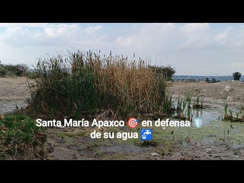 🛡️ La comunidad de Santa María Apaxco 🎯 en defensa del agua 🚰