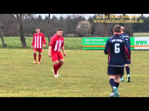 FSV Wespen II - TSG Calbe III am 2016-03-19