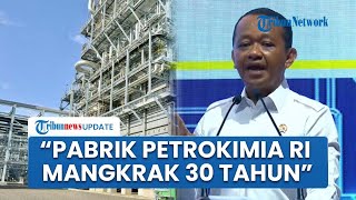 Bahlil Beberkan Pabrik Petrokimia Terbesar ASEAN Sempat Mangkrak Bertahun-tahun sebelum Diresmikan