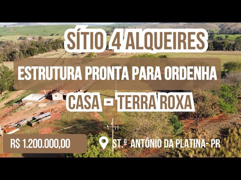 SÍTIO TERRA ROXA- LEITERIA- 4 ALQUEIRES- NORTE DO PARANÁ