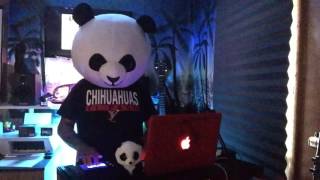 Dj Renzo aka PressPlay Panda