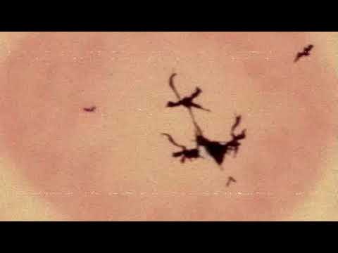 83Hades - #IHATESOUNDCLOUDRAPPERS [Only 83] (PROD. NECO X WAITH)