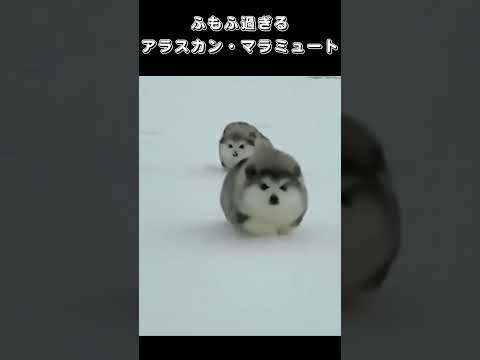 Watch on YouTube