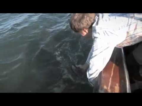 Freestyle Fishing och Åland - del 2