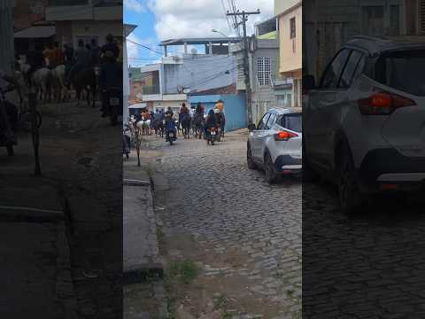Cavalgada Em Ribeirão Pernambuco #shorts #shortvideo #ribeiraope #cavaldaderibeirao