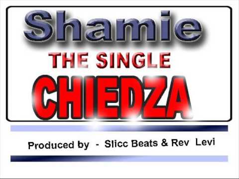 Shamie - Chiedza  (Official Audio)