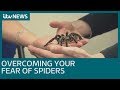 How do you overcome a fear of spiders? | ITV News