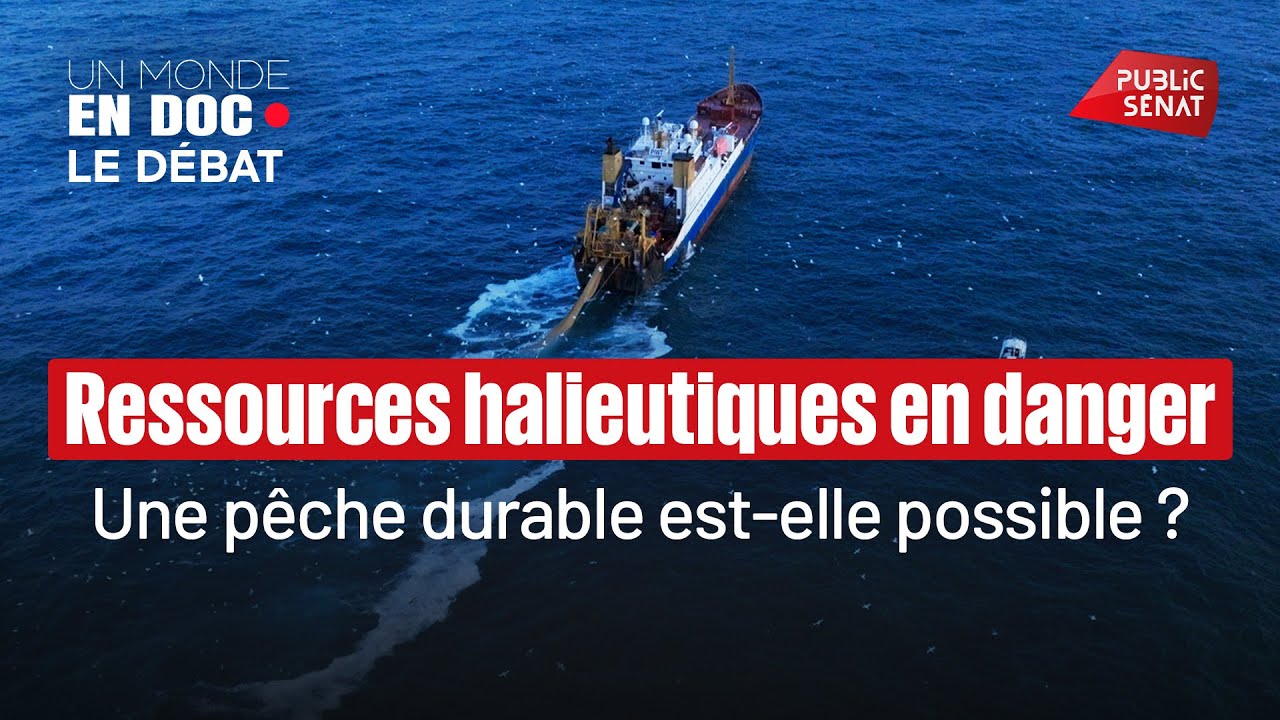 Illustration: Pêche française : 60% de stocks durables, mais un plafond de verre qui inquiète