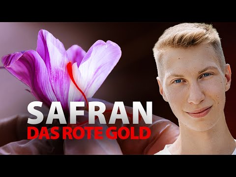 Saffron: The golden natural remedy against stress, depression & inflammation
