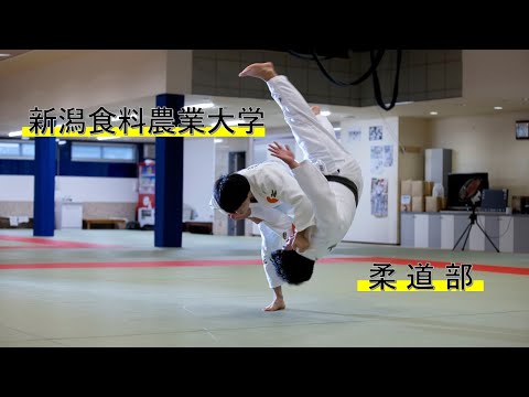 【食・農・ビジネスを学ぶ食の総合大学】柔道部の紹介