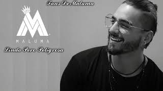 Maluma/Linda Pero Peligrosa🎶