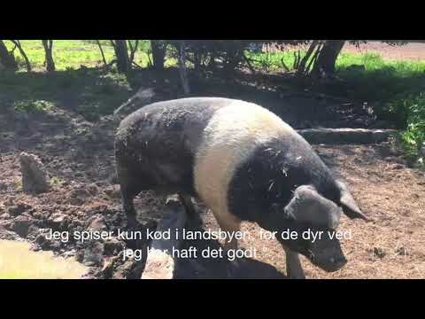 Den Selvforsynende Landsby