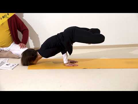 Lotus-Pfau - Yoga Asana Lexikon