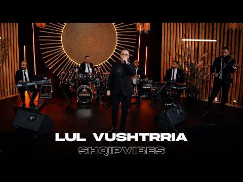 Shqip Vibes and Mega Music