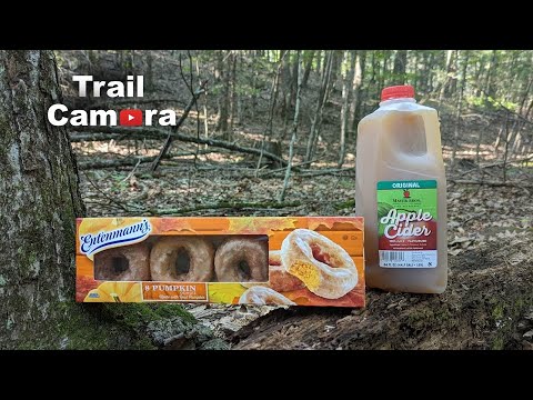 Pumpkin Donuts VS. Apple Cider - Left in the Woods [TRAIL CAMERA]