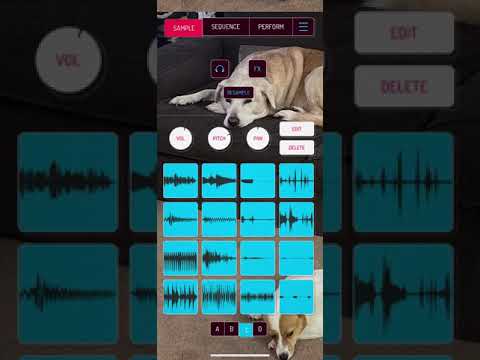 Dog Snoring + House Beat, using Koala Sampler + PianoPig