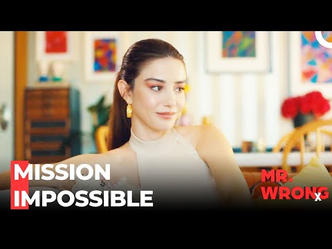 All The Girls Are Here - Mr. Wrong