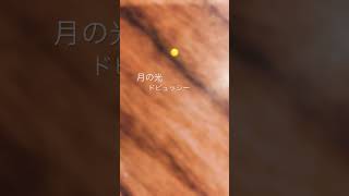 Download lagu 月の光ドビュッシー #ピアノ#ドビュッシー＃月の光 mp3