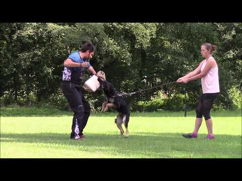 Rixi z Jukasu - protection - 14 months