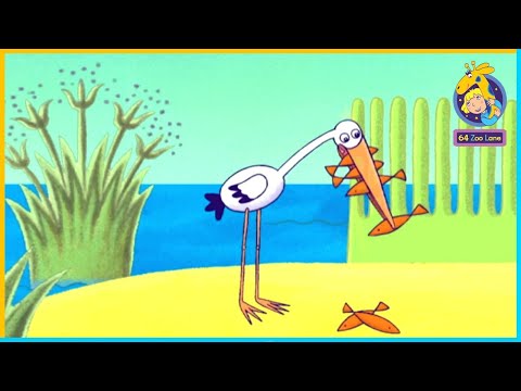 The Story of Pauline the Pelican | 64 Zoo Lane