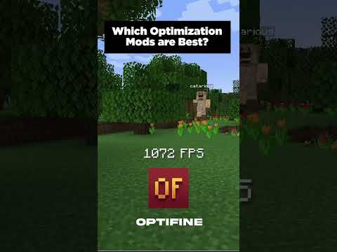Which Optimization Mods are Best? #shorts