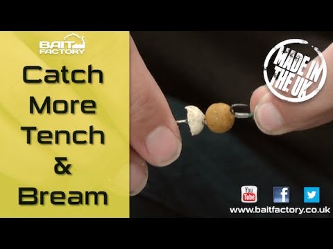 Tie a superb big carp and tench rig with Bait Factory mini boilies