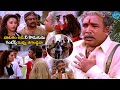 నువ్వు తగలడ్డవా Sneham Kosam Movie Chiranjeevi Emotional Scene IDNizamab