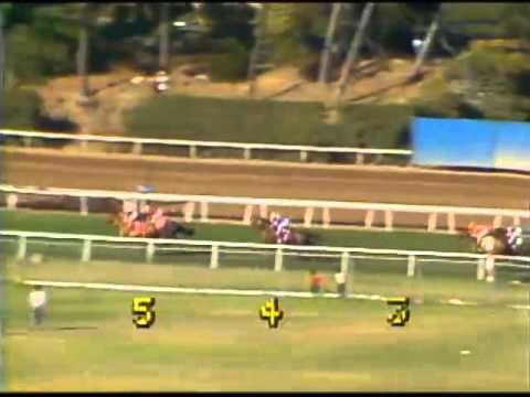 1985 Gamely Stakes   ESTRAPADE