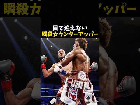 目で追えない瞬殺カウンターアッパー #ボクシング #格闘技 #boxing