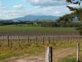 The Wine Country, Napa Valley & Australia, by Grap