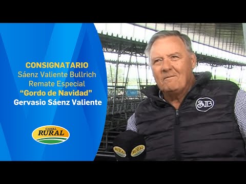 Gervasio Sáenz Valiente | Today's Christmas Special with 6,064 cattle | 12/15/25 | MV