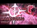 Terraria Calamity Mod Music Trial Of The Insane Theme Of Boss Rush Tier 4