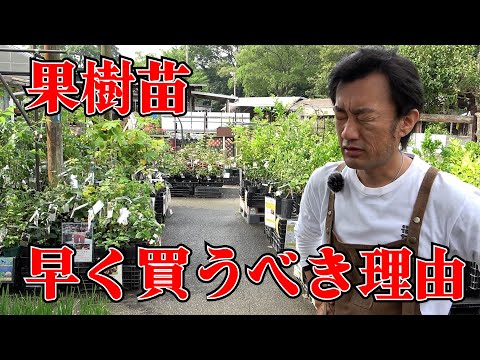 粘土質の土壌に植える果樹はどれですか?いつ、どのように植えるのですか？  庭園