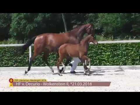 KN 27: HF von Decurio / Wolkenstein II