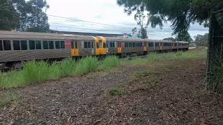 empty train northbound & I think NGR 753 working run D528 cross paths in Morayfield on Tue 25*03*25